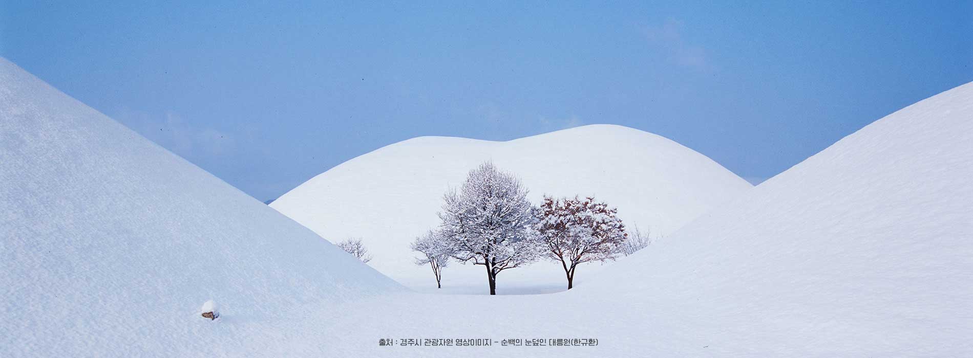 순백의 눈덮인 대릉원